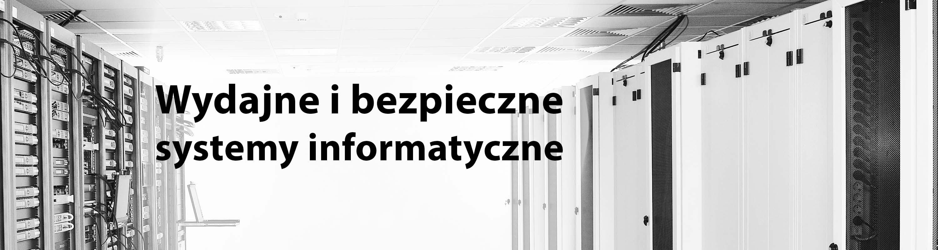 niezawodna agencja interaktywna